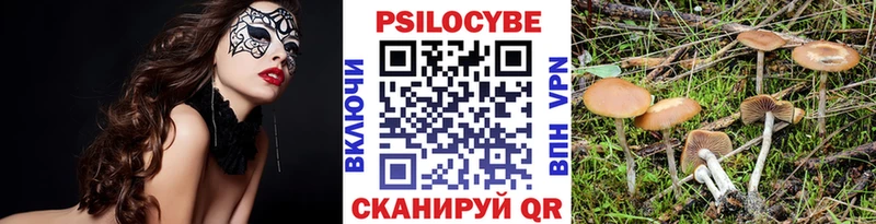 блэк спрут рабочий сайт  Енисейск  Галлюциногенные грибы GOLDEN TEACHER 